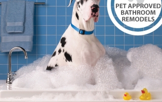 Pet Approved Remodeling